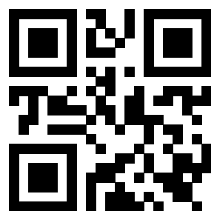 Il Qr Code di 3919561721