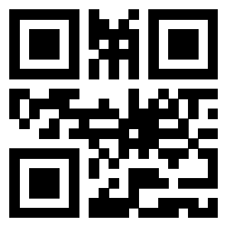 Il Qr Code di 3919561732