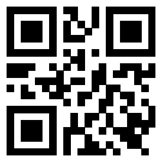Il Qr Code di 3919561749