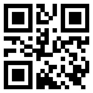 Il Qr Code di 3919561753