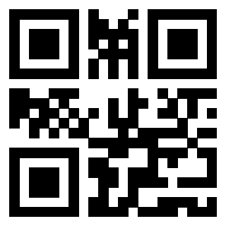 Il Qr Code di 3919561755
