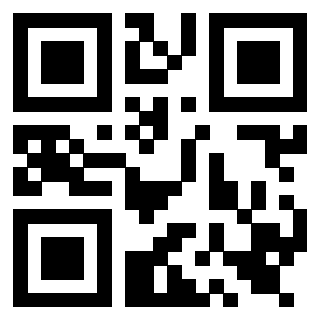 Il Qr Code di 3919564303