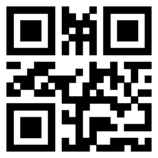Il Qr Code di 3919564320