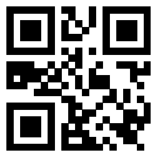 Il Qr Code di 3919564350
