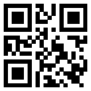 Il Qr Code di 3919564368