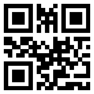 Il Qr Code di 3919564383