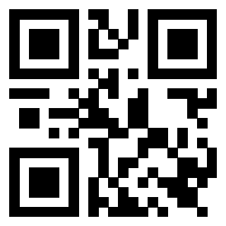 Il Qr Code di 3919564458