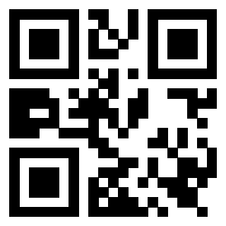 Il Qr Code di 3919564463