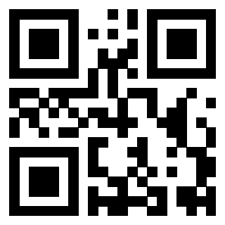 Il Qr Code di 3919564526
