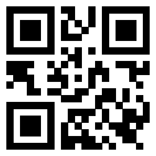 Il Qr Code di 3919564529