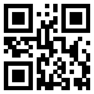 Il Qr Code di 3919564561