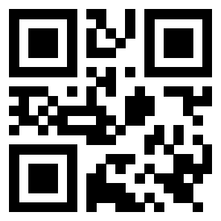 Il Qr Code di 3919564576