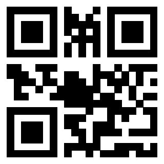 Il Qr Code di 3919564625
