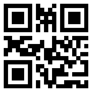 Il Qr Code di 3919564631