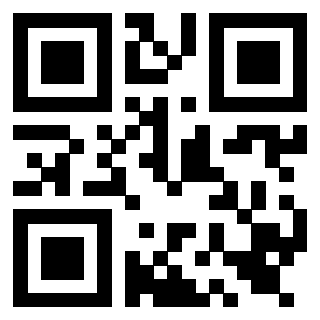 Il Qr Code di 3919564713