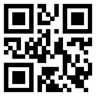 Il Qr Code di 3919564727