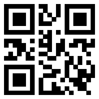 QrCode di 3919564737