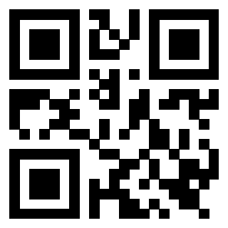 Il Qr Code di 3919564741