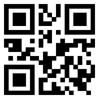 Il Qr Code di 3919564815