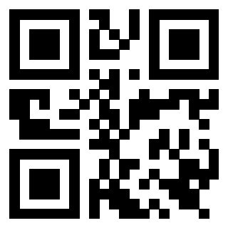 Il Qr Code di 3919564826