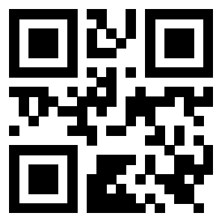 Il Qr Code di 3919564863