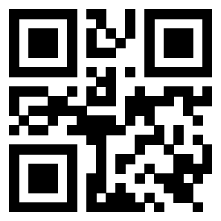 Il Qr Code di 3919564868