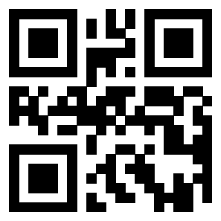 Il Qr Code di 3919564884
