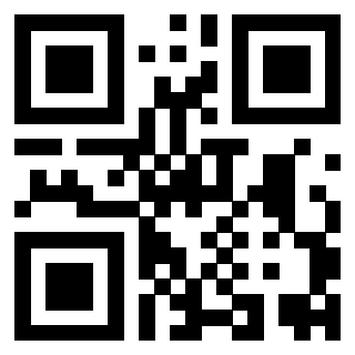 Il Qr Code di 3919564930
