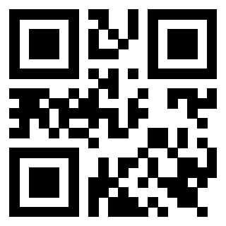 Il Qr Code di 3919564961