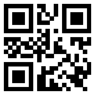 Il Qr Code di 3919564970