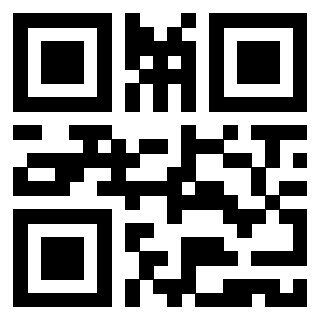 Il Qr Code di 3919565000