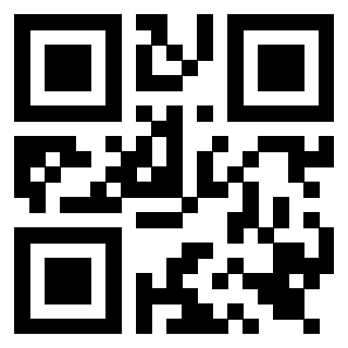 Il Qr Code di 3919565006