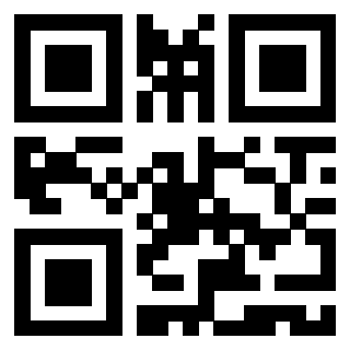 Il Qr Code di 3919565013
