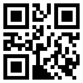 Il Qr Code di 3919565065