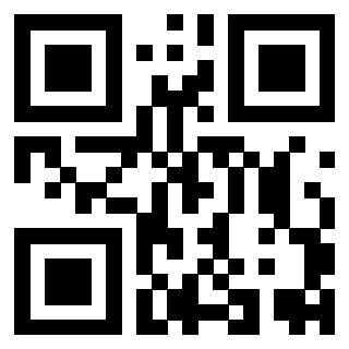 Il Qr Code di 3919565066