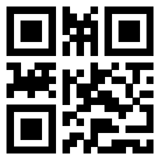 Il Qr Code di 3919565084