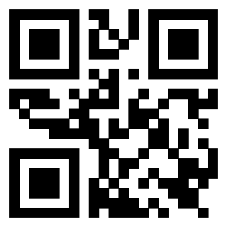 Il Qr Code di 3919565090