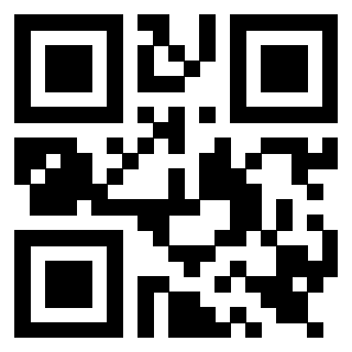 Il Qr Code di 3919565104