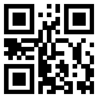 Il Qr Code di 3919565143