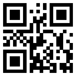 Il Qr Code di 3919565151