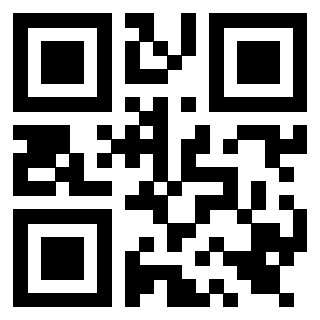 Il Qr Code di 3919565178