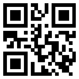 Il Qr Code di 3919565185