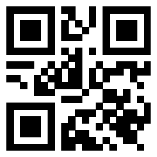 Il Qr Code di 3919615761