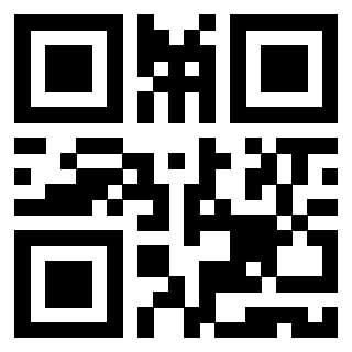 Il Qr Code di 3919615765