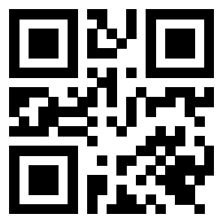 Il Qr Code di 3919615774