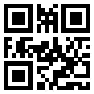 Il Qr Code di 3919615829