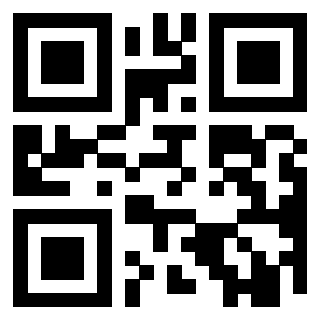 Il Qr Code di 3919615861
