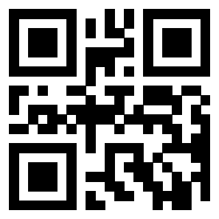 Il Qr Code di 3919615882