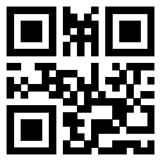 Il Qr Code di 3919615890