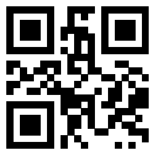 Il Qr Code di 3919615895